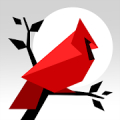 Cardinal Land - Jigsaw & Tangram Puzzle Blend Mod APK icon