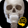 Skeletal System - 3D Anatomy Mod APK icon