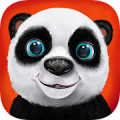 Teddy the Panda Mod APK icon