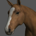 Horse Pose Tool 3D Mod APK icon
