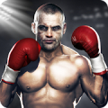 Real Fist Mod APK icon