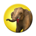 Safari Mod APK icon