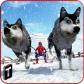 Sled Dog Racing 2017‏ icon