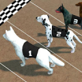 Crazy Dog Racing icon