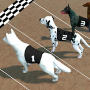 Crazy Dog Racing Mod APK 2.4.3 - Baixar Crazy Dog Racing Mod para android com [Dinheiro Ilimitado]