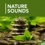 1000 Nature Sleep Relax Sounds Mod APK 1.4.6 - Baixar 1000 Nature Sleep Relax Sounds Mod para android com [Prêmio]