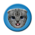 Kittens Mod APK icon