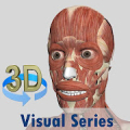 Visual Muscles 3D Mod APK icon