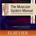 Muscular System Manual Mod APK icon