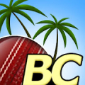 Beach Cricket Pro Mod APK icon