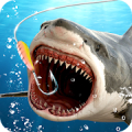 Wild Fishing Mod APK icon