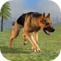 Wild Dog Survival Simulator Mod APK icon