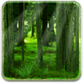 RealDepth Forest LWP Mod APK icon