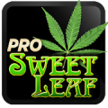 Marijuana Live Wallpaper Mod APK icon