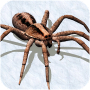 Ultimate Spider Simulator - RPG Game Mod APK 1.0 - Baixar Ultimate Spider Simulator - RPG Game Mod para android com unli