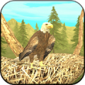 Wild Eagle Sim 3D Mod APK icon