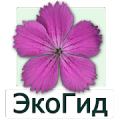 ЭкоГид: Цветы - старая версия Mod APK icon