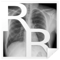 Radiological Anatomy For FRCR1 icon