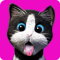 Daily Kitten Mod APK icon