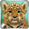 Wild Leopard icon