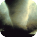 Tornado Chaser Mod APK icon