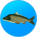 True Fishing. Simulator Mod APK icon