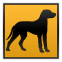 Dogs of the world (Premium) Mod APK 1.6 - Baixar Dogs of the world (Premium) Mod para android com [Desbloqueada]