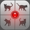 Human-to-Cat - Play with your Mod APK icon