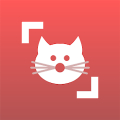 Cat Scanner: Breed Recognition Mod APK icon