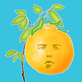 Tree of face fruit icon