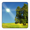 True Weather LWP Mod APK icon