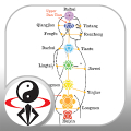 Acupressure Massage Qigong Mod APK icon