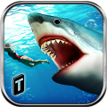 Angry Shark 2016 Mod APK icon