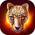 The Cheetah Mod APK icon