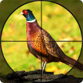 Pheasant Shooter Birds Hunting Mod APK icon