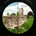 Rabbit Hunting Challenge Mod APK icon