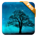 Dream Night Pro Live Wallpaper Mod APK icon