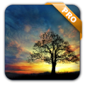 Sunset Hill Pro Live Wallpaper Mod APK icon