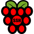 Raspberry SSH Custom Buttons Mod APK icon