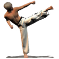 Taekwondo Forms icon