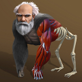 Idle Evolution - Cell to Human Mod APK icon