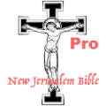 NJB Audio Bible Pro icon