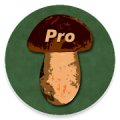 Book of Mushrooms PRO‏ icon