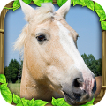 Wild Horse Simulator Mod APK icon