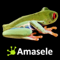 Amasele Guard Mod APK icon