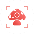 Picture Mushroom - Mushroom ID‏ icon