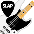 SLAP Bass Lessons HD VIDEOS Mod APK icon