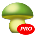 MushtoolPro - Mushroom Mod APK icon