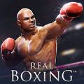 Real Boxing – Fighting Game Mod APK icon