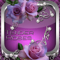 Tender Roses Go Launcher theme icon